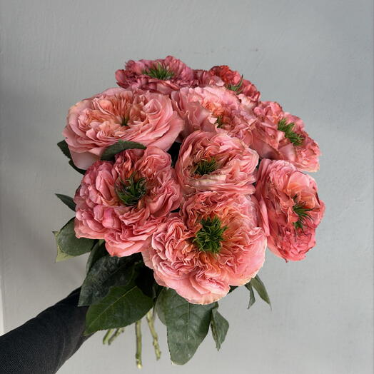 Volkova flowers
