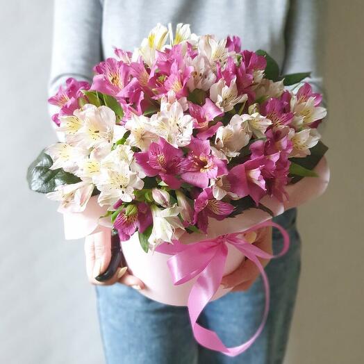 Alstroemeria in a hat box