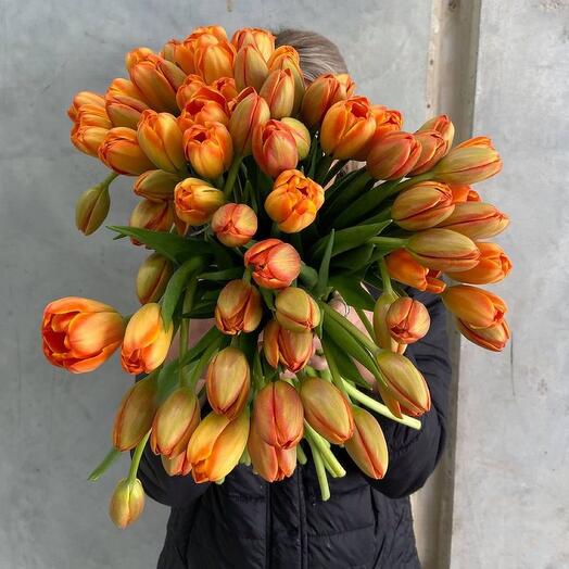 Bouquet of 51 orange tulips