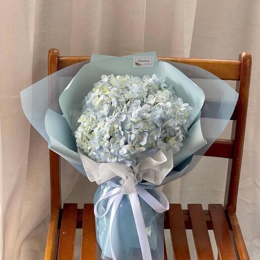 Premium Blue Hydrangeas