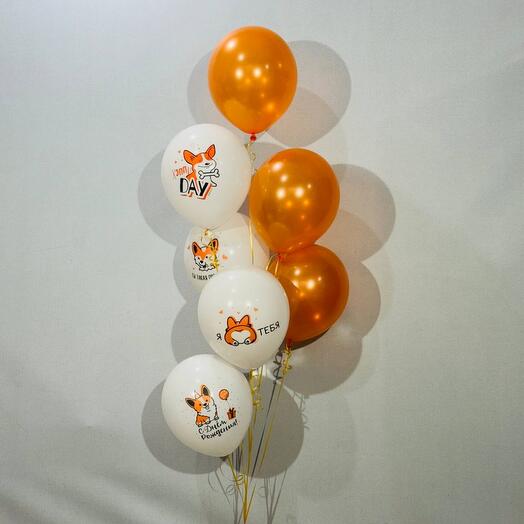 Globos de helio para cumpleaños Corgi 7 piezas