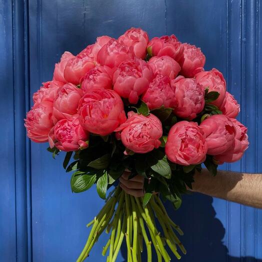 Bouquet of 25 coral peonies