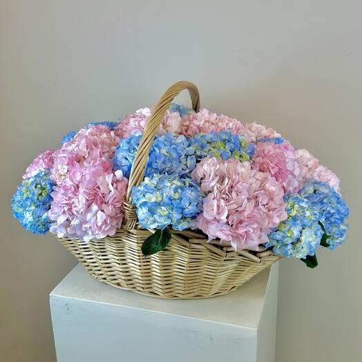 Hydrangeas Flowers in basket