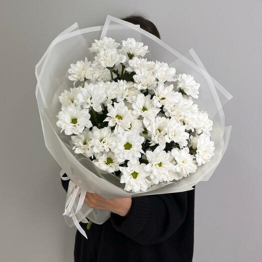 White Chrysanthemum S