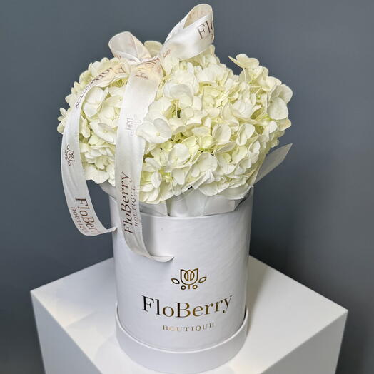 White Hydrangea Box