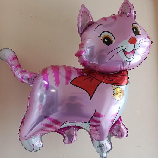 Котик
