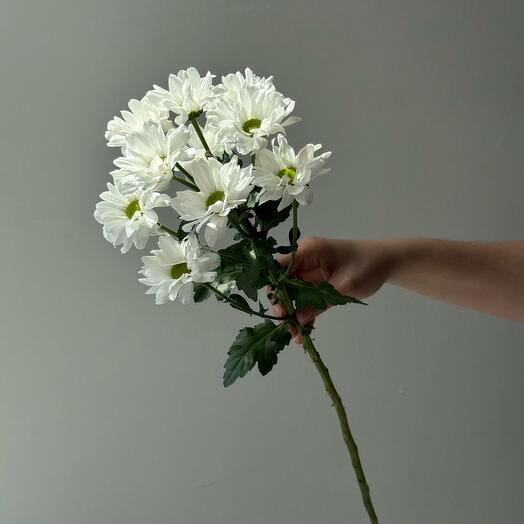 RoseMix