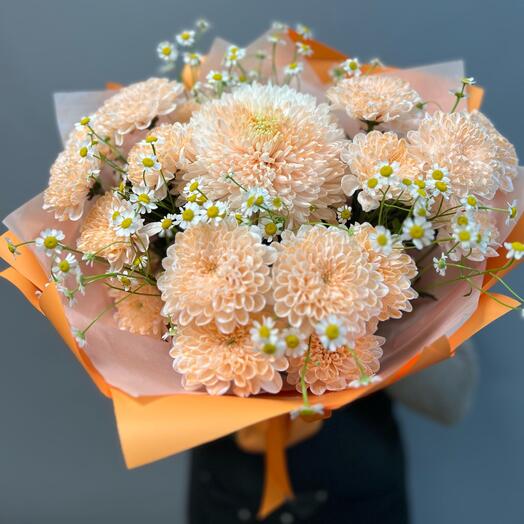 Хризантема. Ромашки. Персиковое чудо