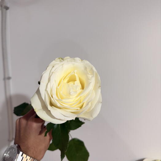 AGA_Flowers