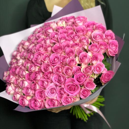 101 Aqua rose