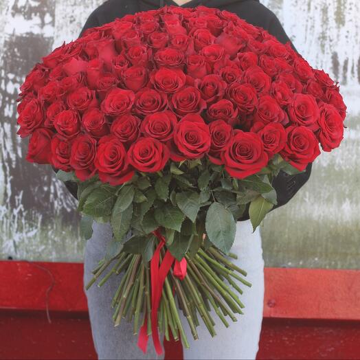 101 roses Ecuador