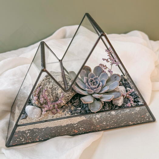 Florarium with light-loving succulent Mini mountains