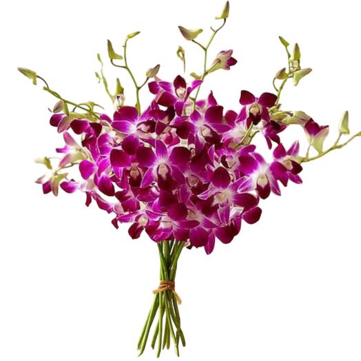 11 Purple Orchid Bunch