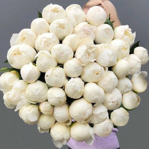 Bouquet of white peony