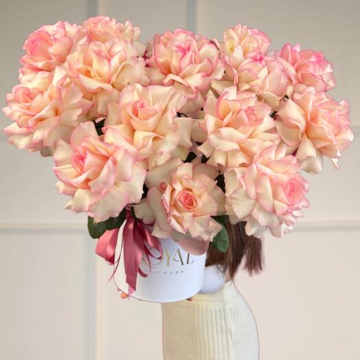 Композиция s (эсперанция)