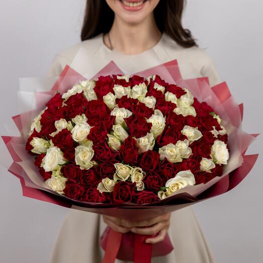 101 красная и белая роза Madam Red , Athena