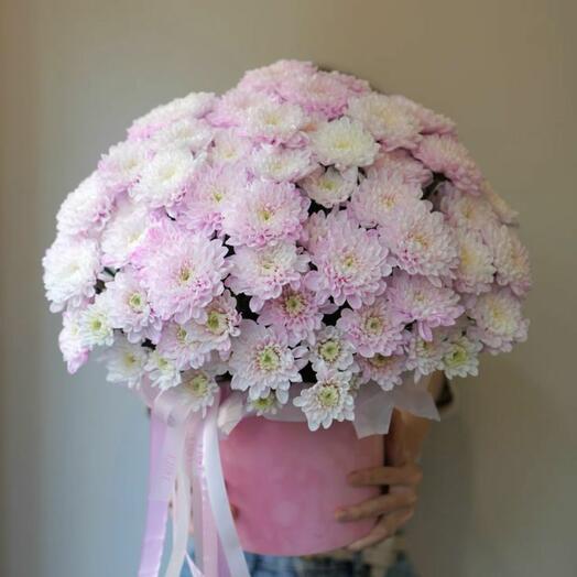 Bloom flowers