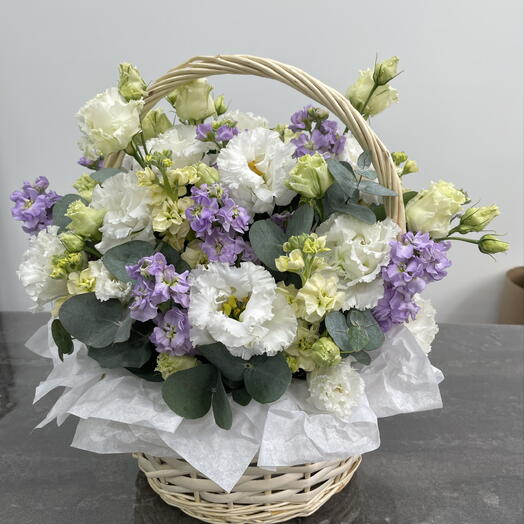 NOVIFLOWERS