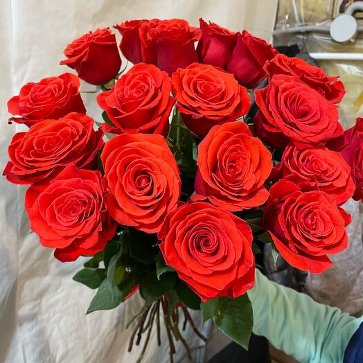Escarlata 19 rosas