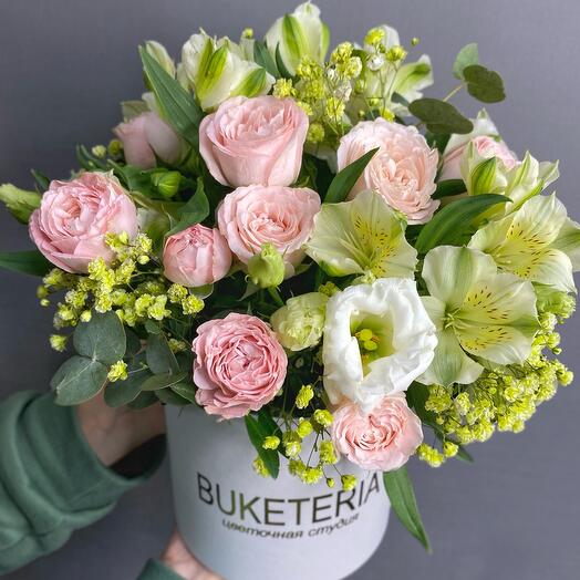 Бокс Свежесть