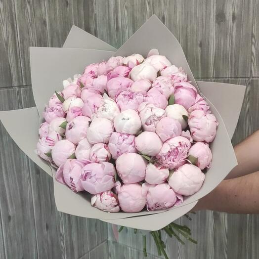 Букет из 51 розового пиона