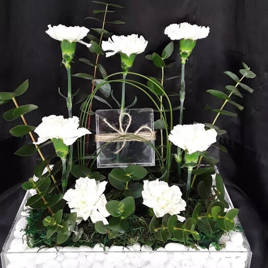 Charming Carnation Arrangement in Acrylic Box with Money Box