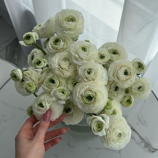 Ranunculus 25 stems