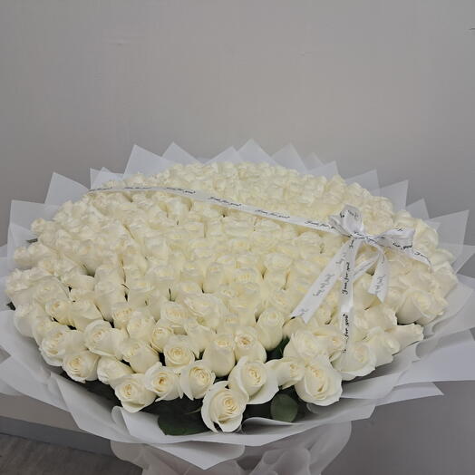 301 white roses