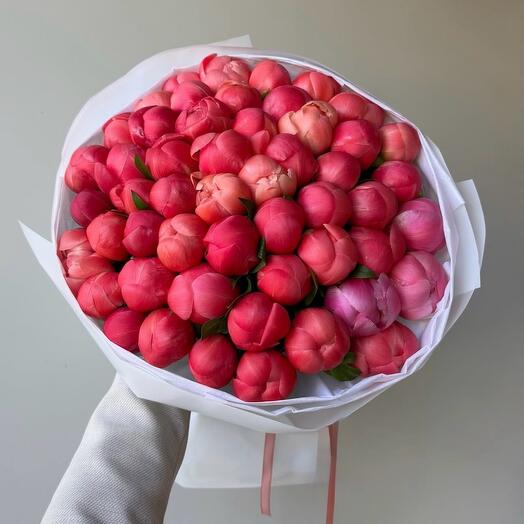 Пионы коралловые Отборные