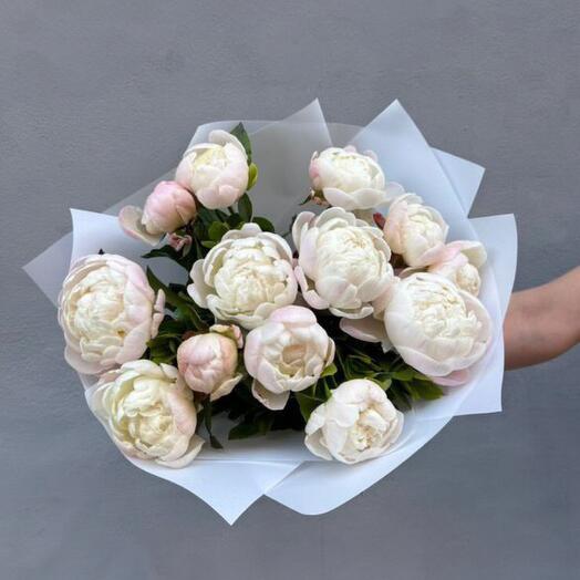 13 peonias