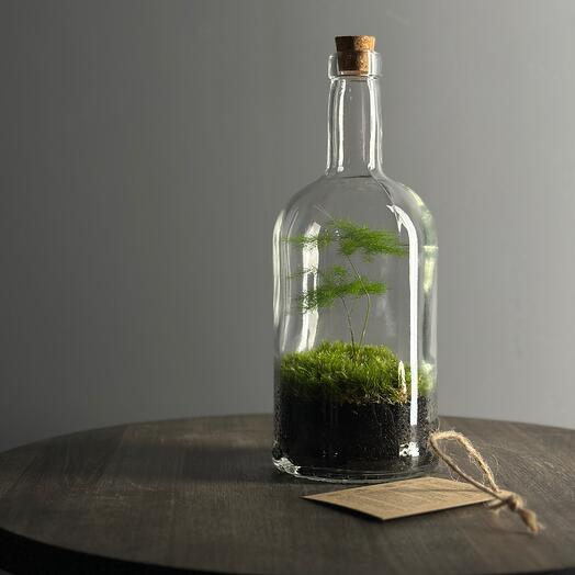 Bottle 4 medium