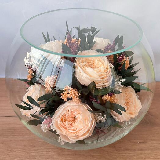 Натуральные пионы в стекле, вакуум (RF2.25500el)