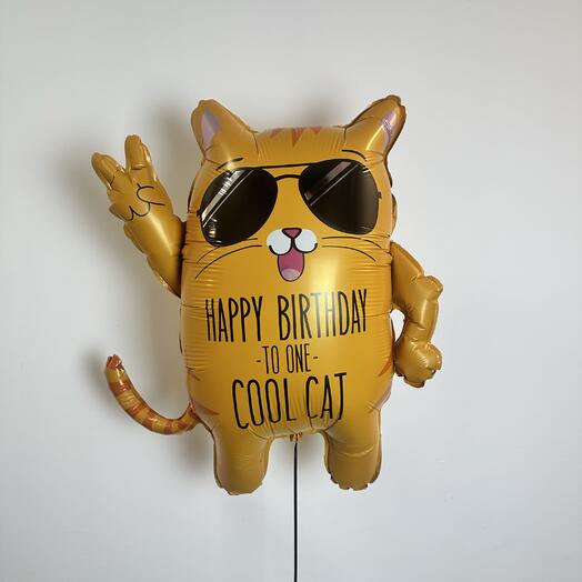 Крутой кот Happy Birthday