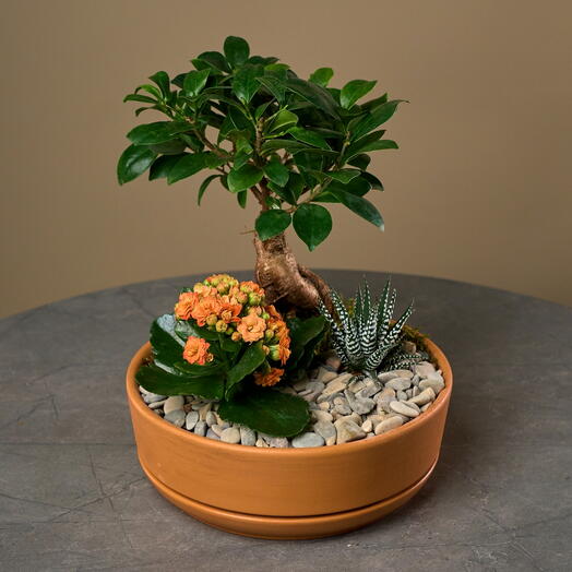 Margoplants