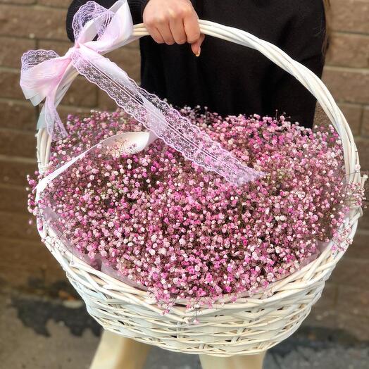 Guau cesta de gypsophila💕