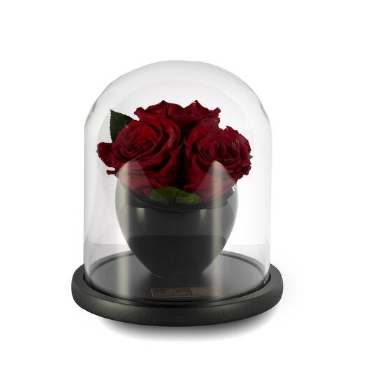 Dark Red Preserved Roses in crystal vase Trio