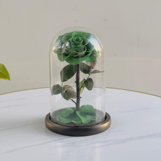 Forever Rose Green (preserved rose)