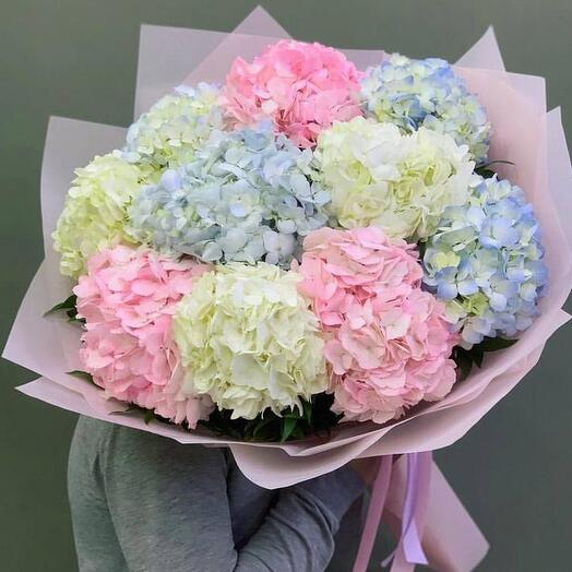 Bouquet of assorted hydrangeas