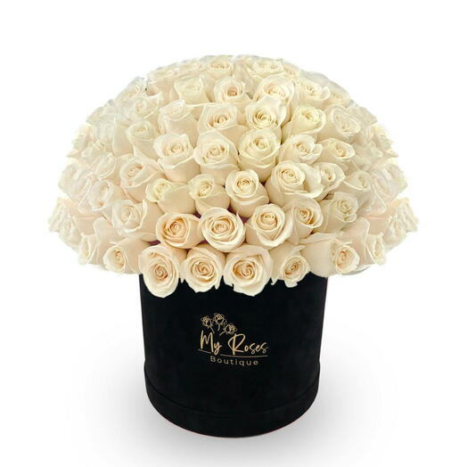 Black Velvet Box With 50 White Roses