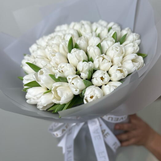 50 tulips white