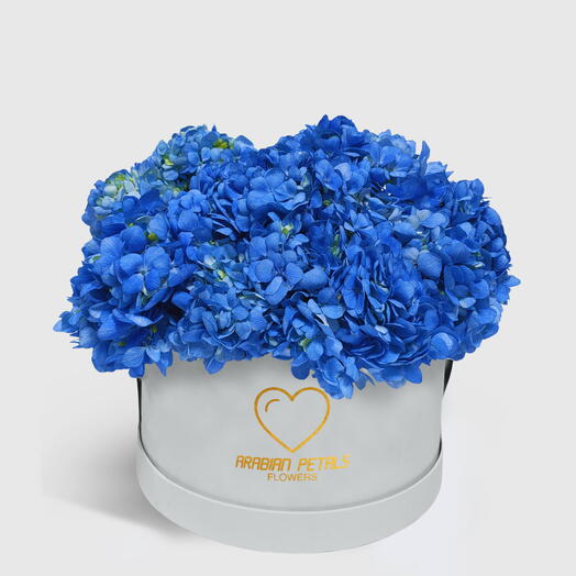 Blue Hydrangea Large White Box