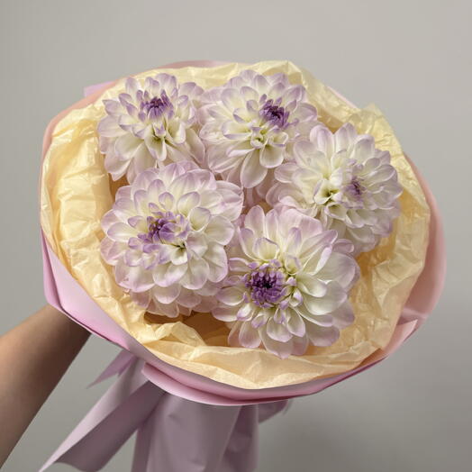 Viol botanical 