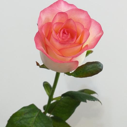 Цветы for you