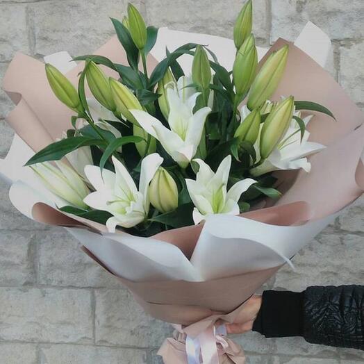Lily