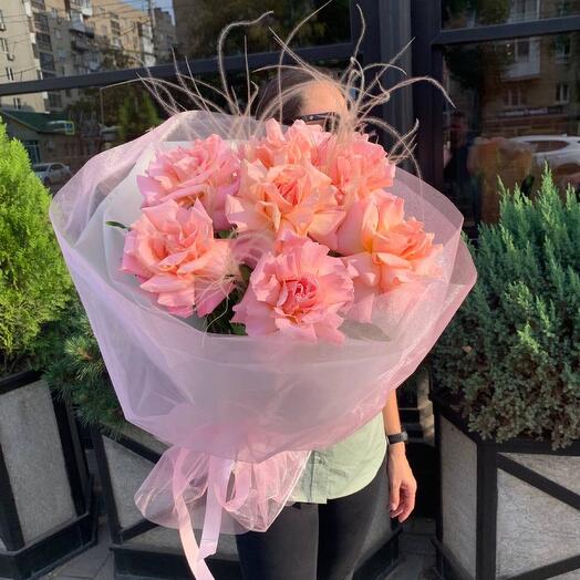 Hermosa rose in a delicate package