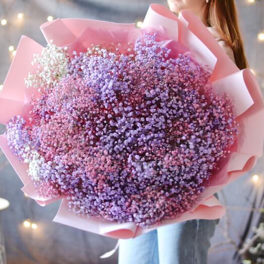 Bouquet giant of gypsophila