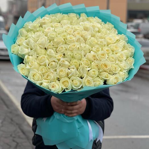 White Rose