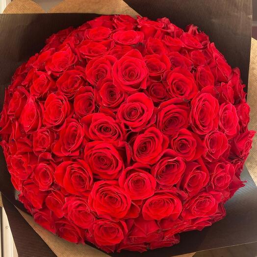 Amazing red roses