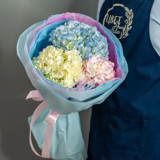 Букет из 3 гортензий в упаковке арт.1250f