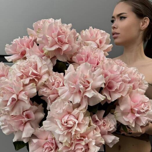 The French Rose